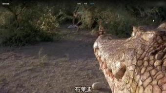 鳄鱼电影在线观看,在线惊悚之旅  第3张