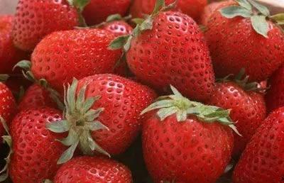 草莓皮肤爆料视频,视觉盛宴，带你领略独特魅力